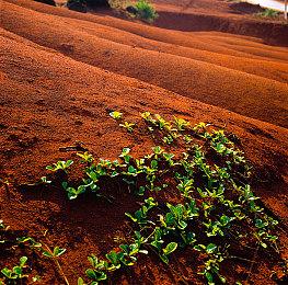 心跳游戏HBG代理新游《冬日幸存者》 新品节试玩进行中